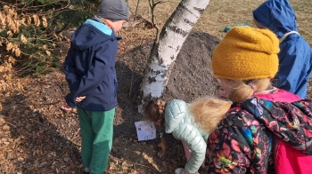 WhatsApp Image 2026-03-24 at 07s.55.57.jpeg