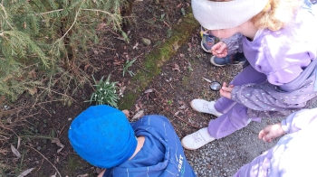 WhatsApp Image 2025-03-26 at 07.3d6.47.jpeg