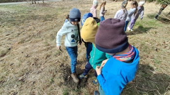 WhatsApp Image 2025-03-26 at 0s7.36.46.jpeg