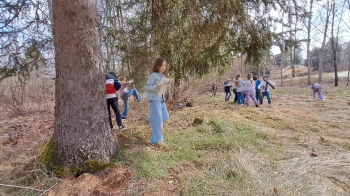 WhatsApp Image 2025-03-26 at 07.36.47.jpeg