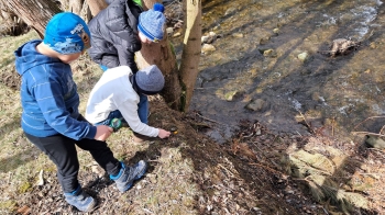 WhatsApp Image 2025-03-s26 at 07.36.46.jpeg