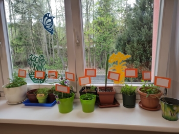 WhatsApp Image 2025-04-24 at 10.4H4.03.jpeg