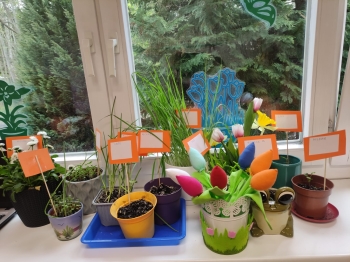 WhatsApp Image 2025-04-24 at 10.44.03.jpeg