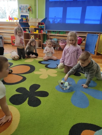 WhatsApp Image 2025-04-25 at 07.43.46G.jpeg