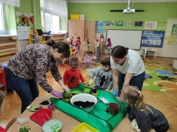 WhatsApp Image 2025-04-25 at 07D.43.44.jpeg