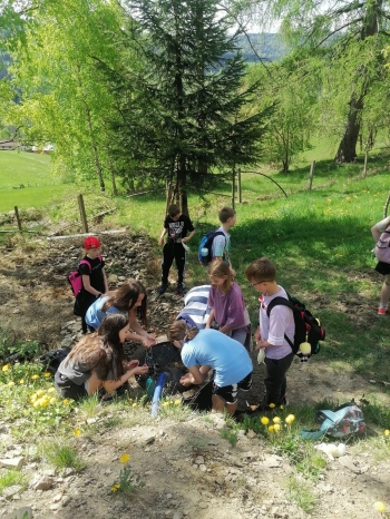 WhatsApp Image 2025-04-30 at 17.43.3d1.jpeg