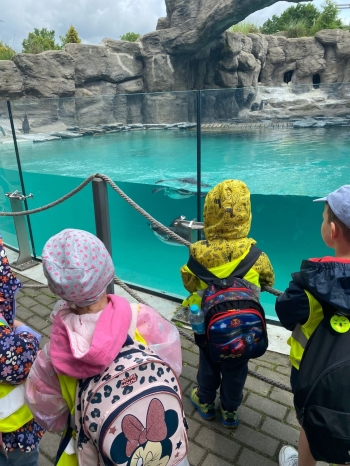 WhatsApp Image 2025-06-23 at 07.1a1.54.jpeg