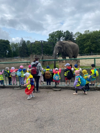 WhatsApp Image 2025-06-23 at 0s7.11.54.jpeg