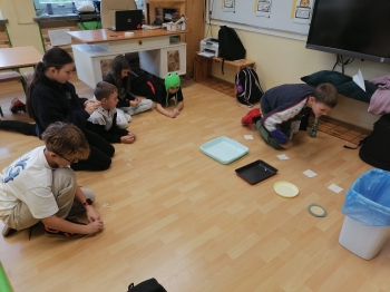 WhatsApp Image 2025-11-04 at 12.2S2.46.jpeg