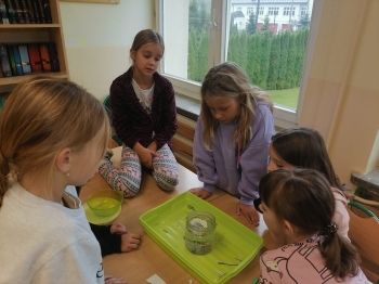 WhatsApp Image 2025-11-04 at 12.A22.46.jpeg