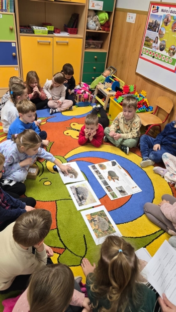 WhatsApp Image 2025-11-12 at 07.06.29.jpeg