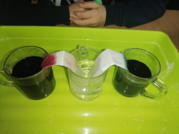 WhatsApp Image 2025-11-26 at 14.13.47h.jpeg