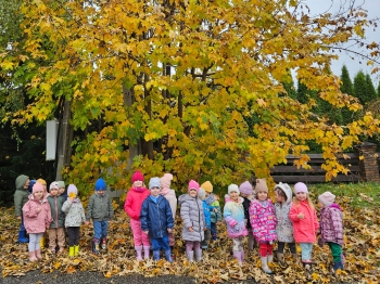 WhatsApp Image 2026-02-08 at 22.05.14.jpeg