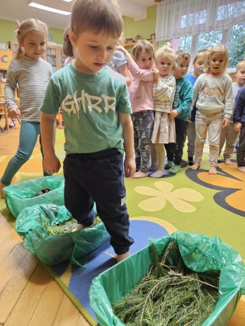 WhatsApp Image 2026-02-08 at 22.07.22.jpeg