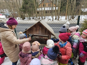 WhatsApp Image 2026-02-09 at 10.12.1a9.jpeg