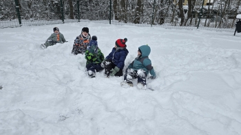 WhatsApp Image 2026-02-17 at 13.11.47.jpeg