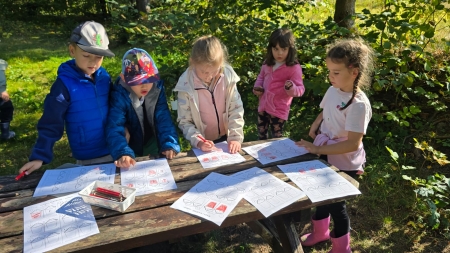 Leśna matematyka 05.10.2026 r.