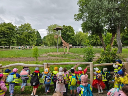 Zoo i planetarium - 11.06.2025 r.