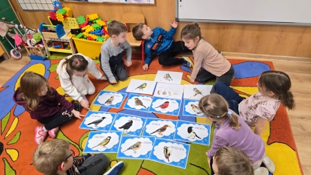Zajęcia ekologiczne i matematyczne - Projekt Edukacja Przedszkolna GRUDZIEŃ 2025